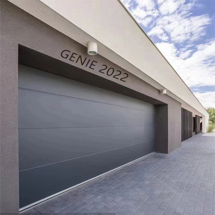 Porte de garage automatique noire