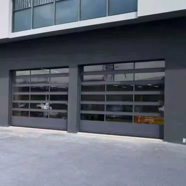Porte de garage sectionnelle en verre plat noir Villa